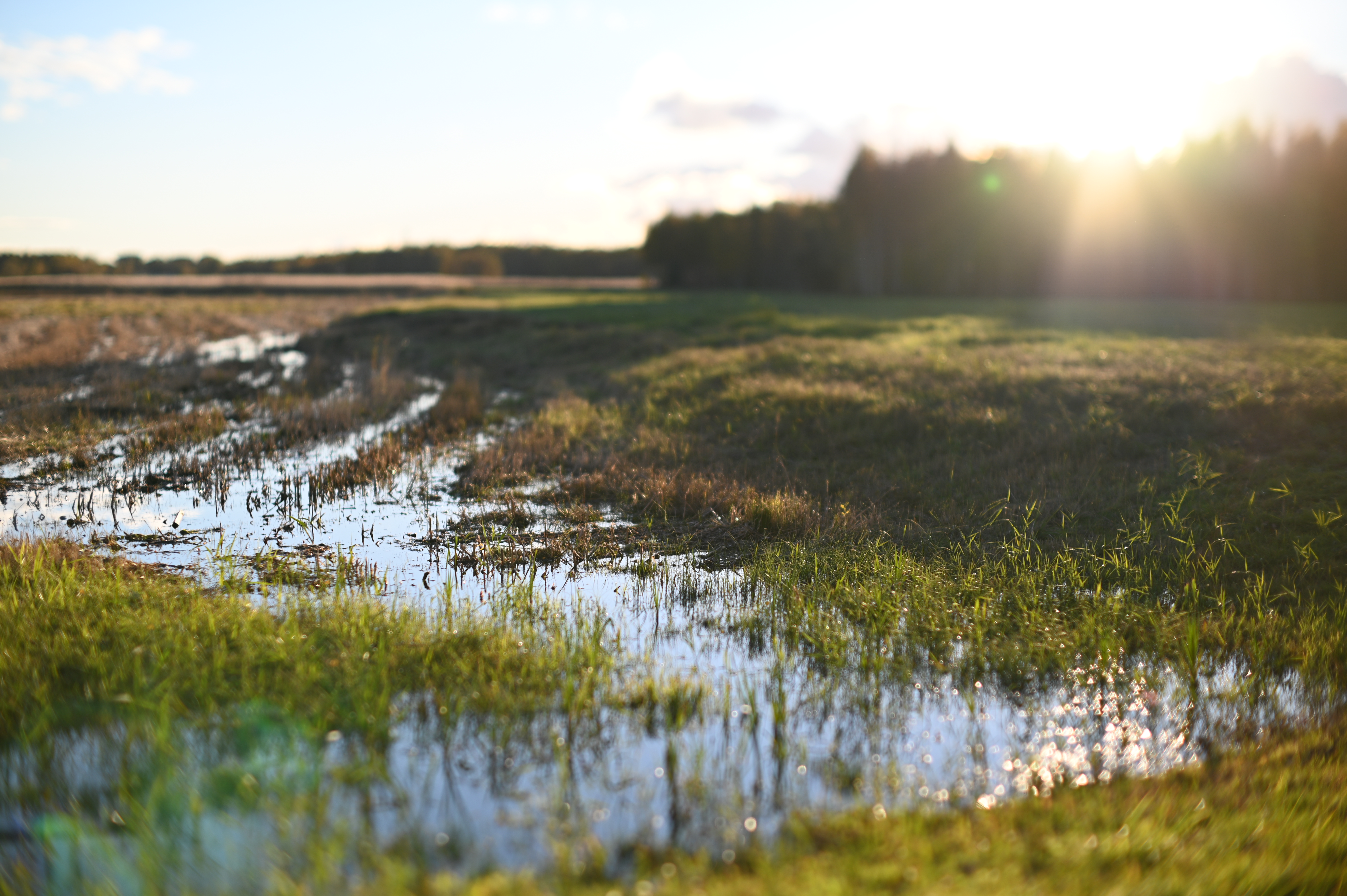 2025/10/18 - walk/DSC_0192.JPG